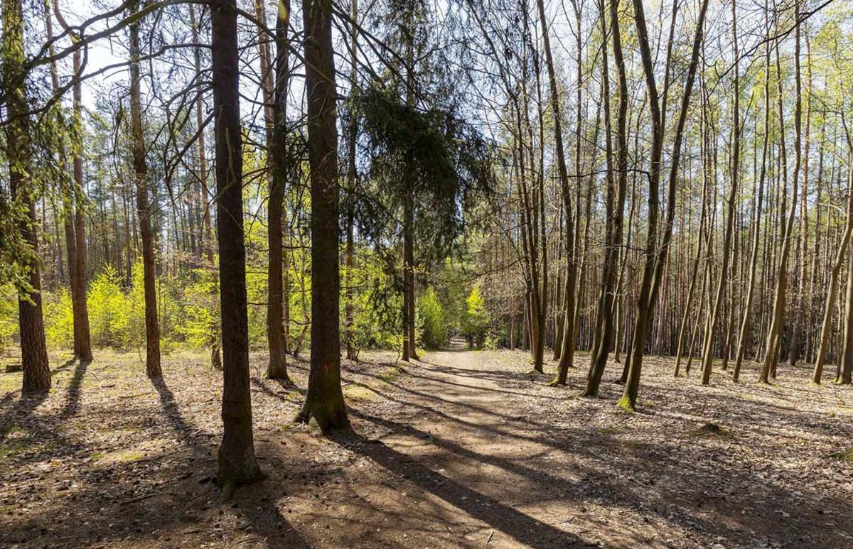 Laskara Garden Apartment By Prague Forest Nové Jirny Exterior photo